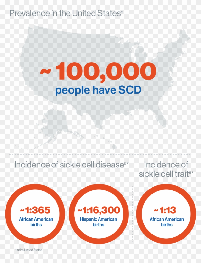 Epidemiology - Circle Clipart #2074492
