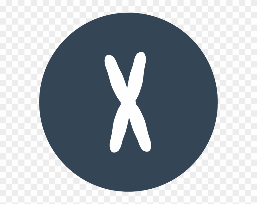 Epigenetics In Project Mine - Circle Clipart