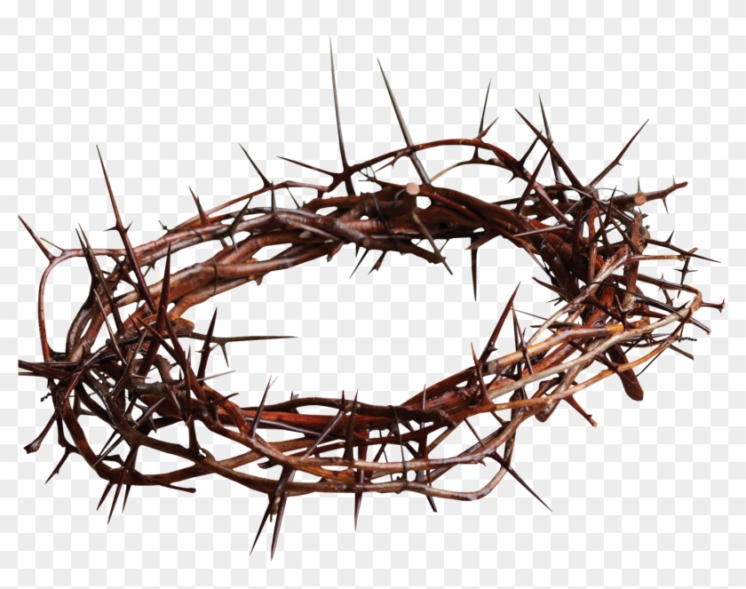 Crown Of Thorns Png Transparent Image - Crown Of Thorns Png Clipart