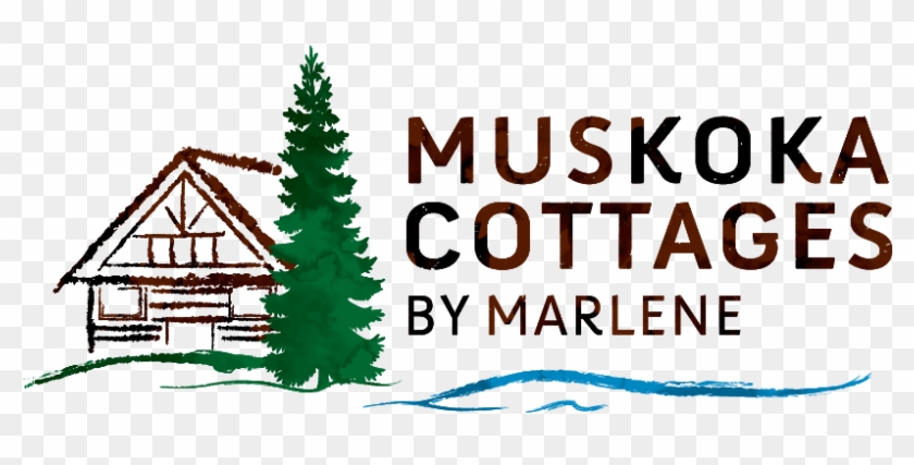 Colorado Spruce Clipart