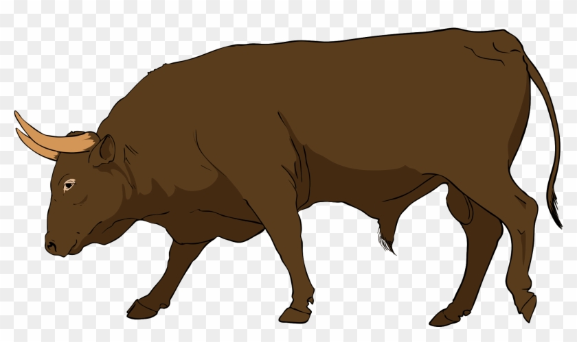 Clipart Bull Head - Bull Clipart - Png Download #2075578