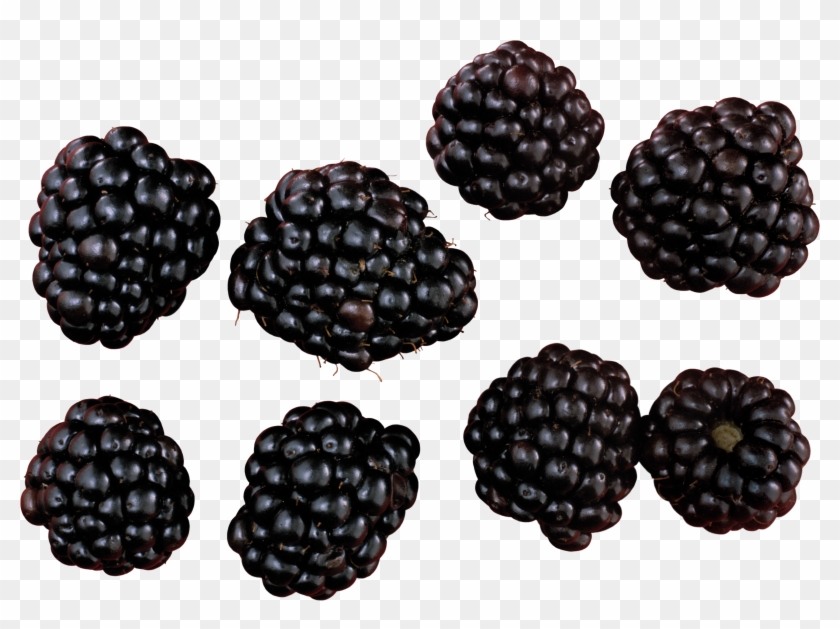 Blackberry Variations - Blackberry Png Clipart