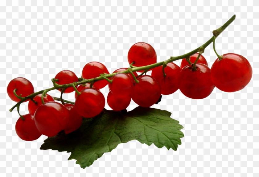 Download Redcurrant Png Image - Seedless Fruit Clipart #2076013