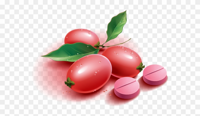 Miracle Berry Tablets - Lingonberry Clipart #2076418