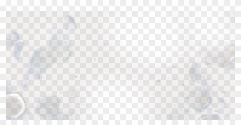 Alexander 'the Mauler' Gustafsson - Transparent Lens Dirt Png Clipart