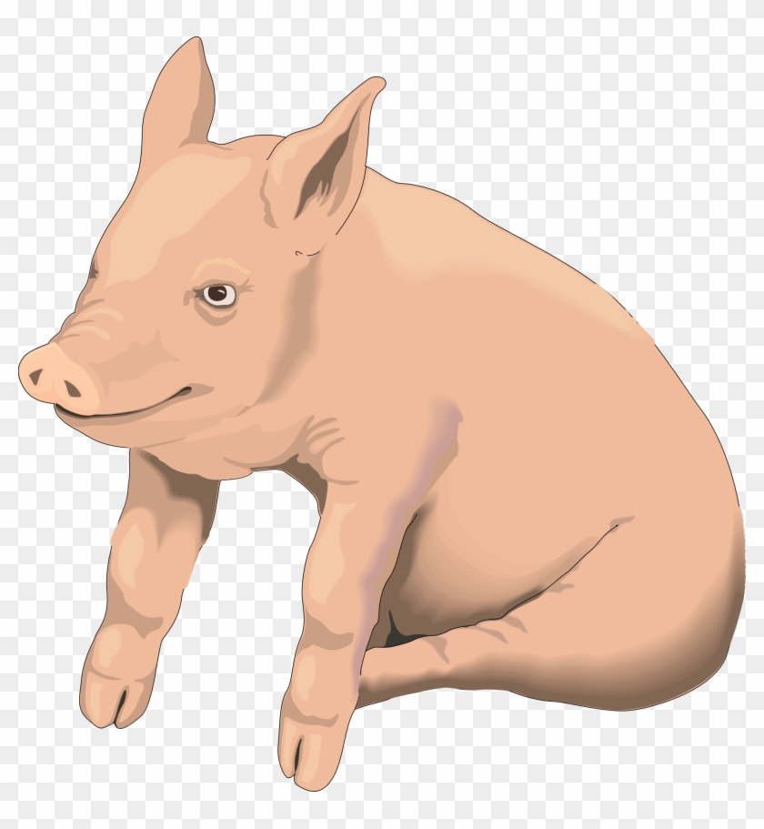 Dirty Pig Cliparts - Clip Art Pig Transparent - Png Download #2076868