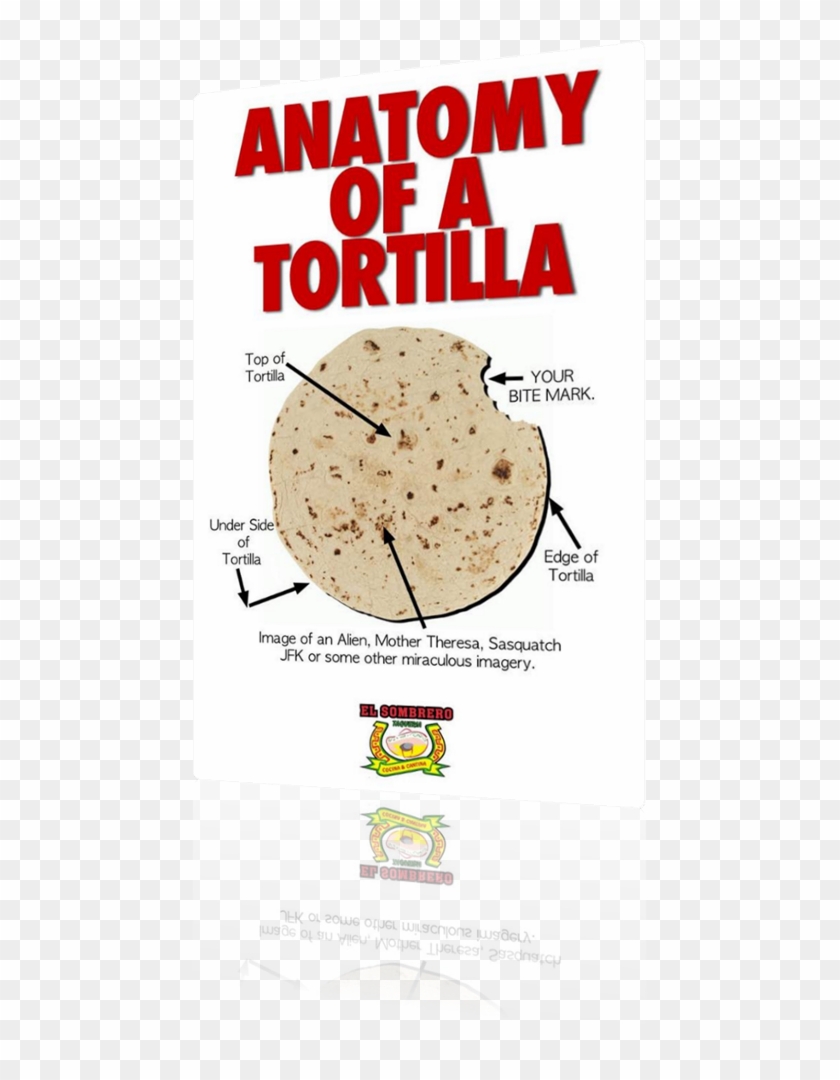 Vign Anatomy Of A Tortilla - Bhakri Clipart #2076955