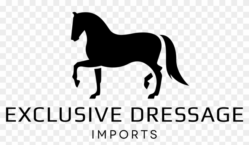 Stallion Clipart #2077269