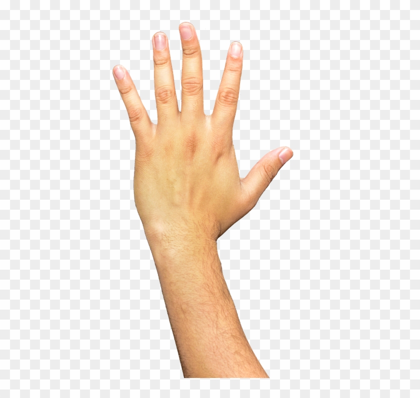 Manos Png - Brazo Png Clipart #2077878