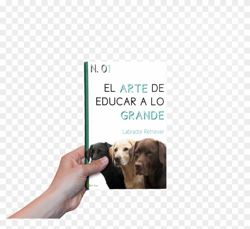 Colección De Libros - Companion Dog Clipart