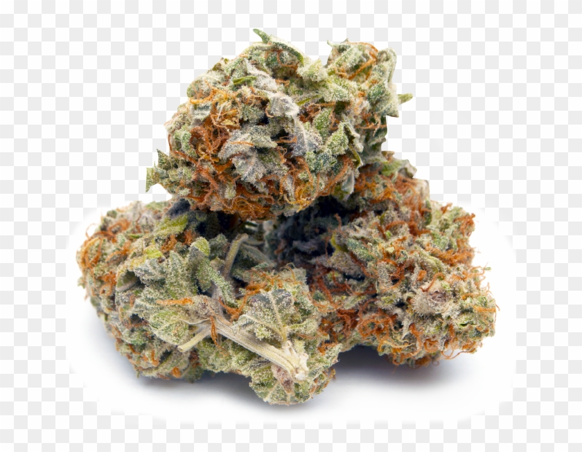 About Us - Orange Cookies Strain Clipart
