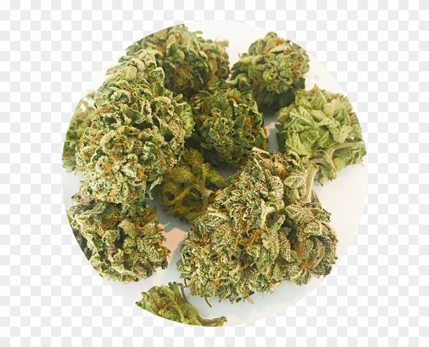 Tuna Kush At Great Weed North - Tempura Clipart