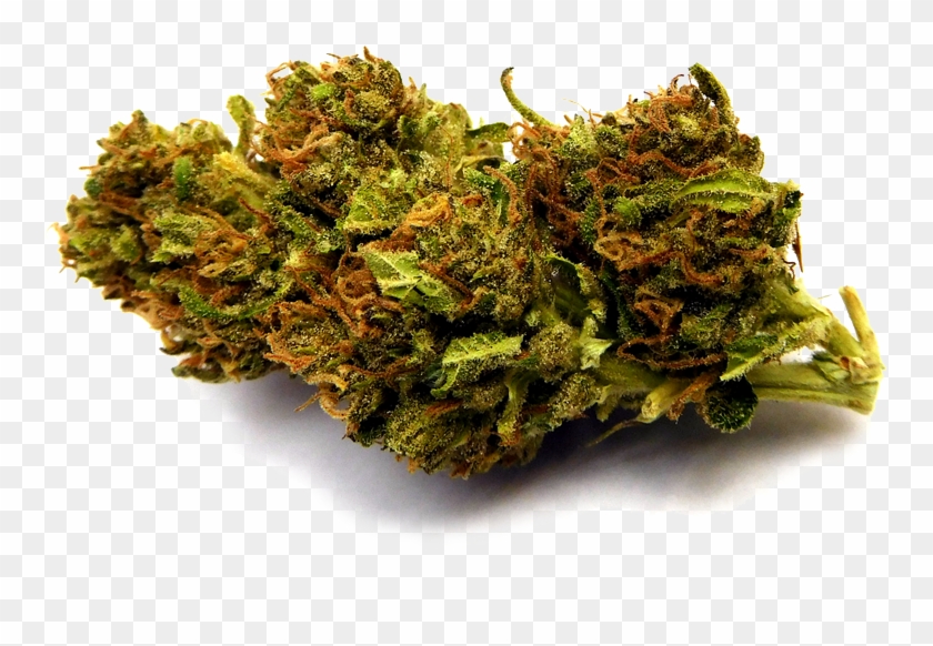 Blueberry#2 Nobg-stickybydz - Non-vascular Land Plant Clipart #2080593