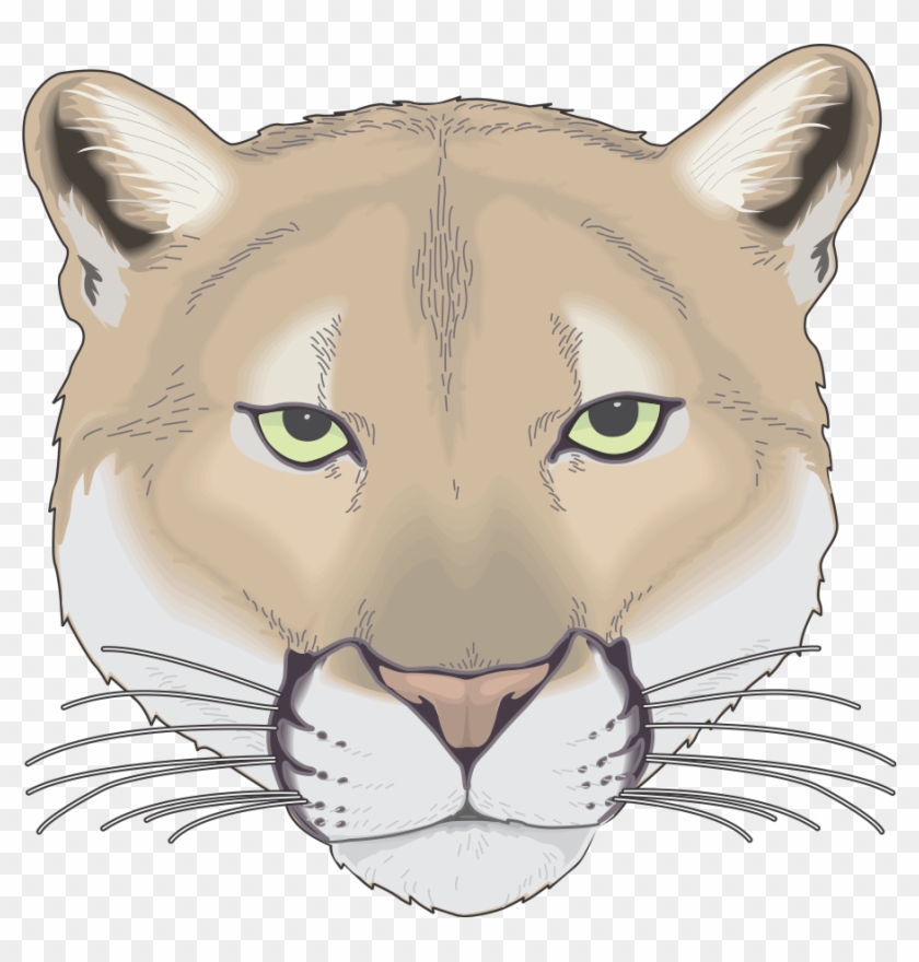Cougar - Carmel Middle School Cougar Clipart #2080649
