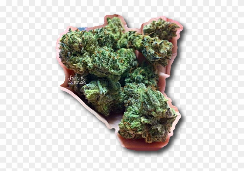 Diamon Dog Weed Sticker - Moss Clipart #2080651