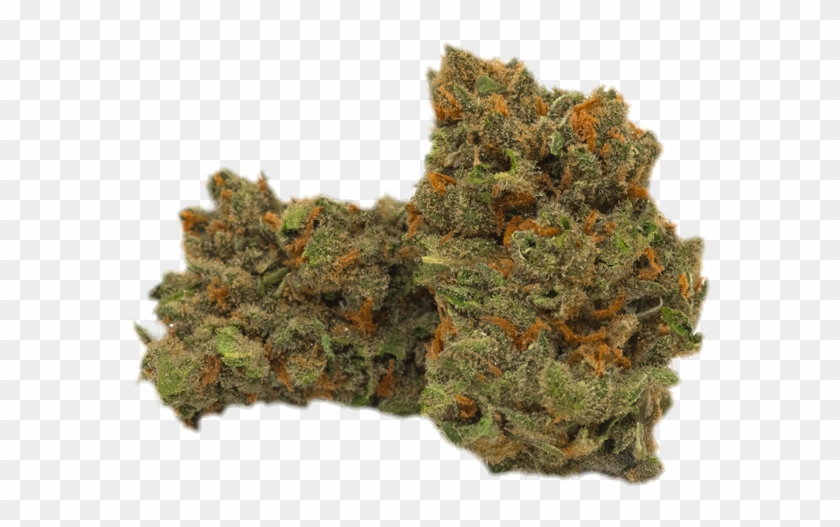 Jack Herer - Scale Model Clipart