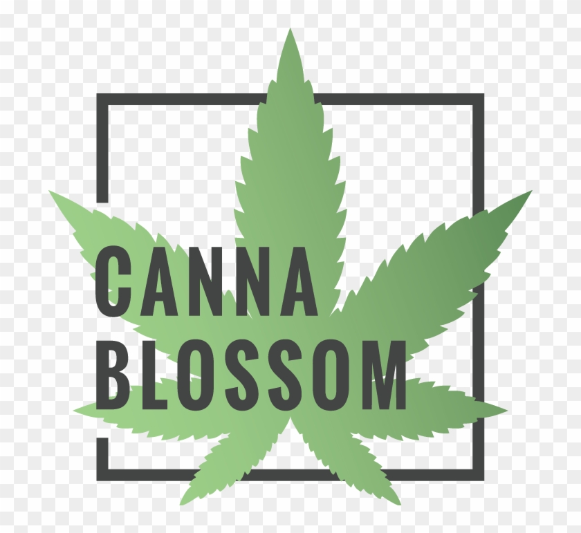 Use Coupon Code At Cart Page - Canna Blossom Ca Clipart #2080885