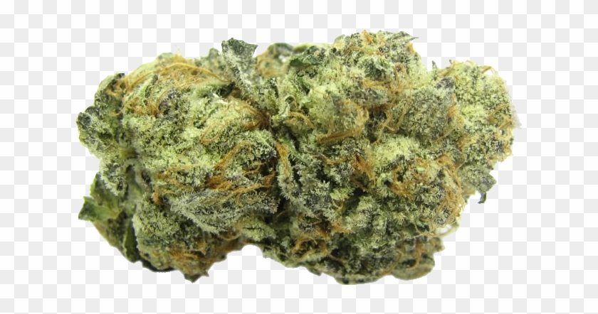 Home Home Zoombox2 Icon Clipart