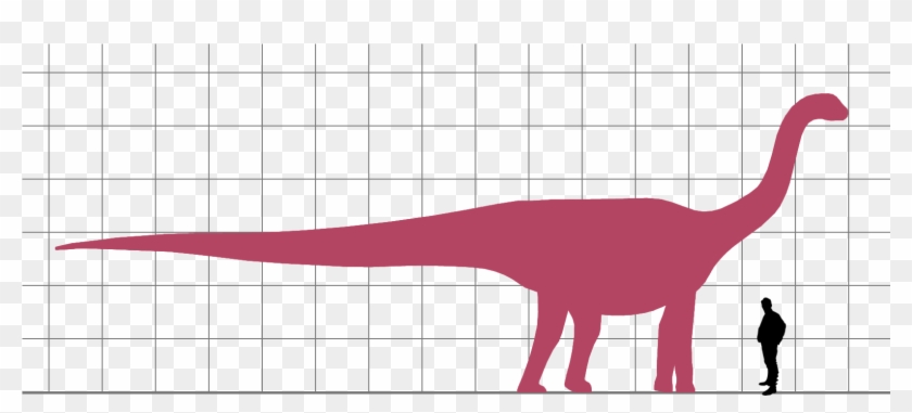Patagosaurus Scale - Dinosaur Clipart