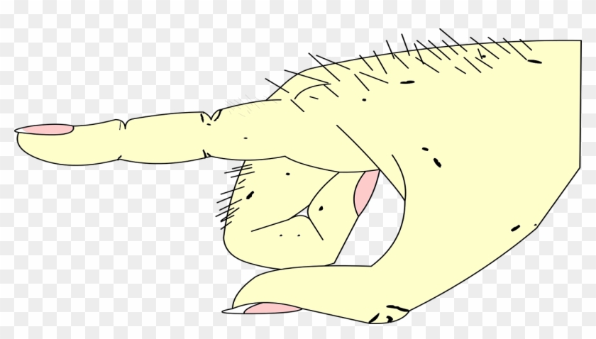 Hand Clipart #2081559