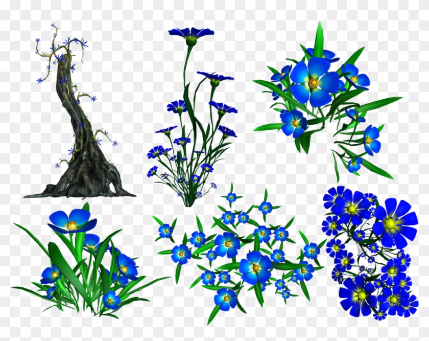 Forget Me Not Png Transparent Image - Lobelia Clipart