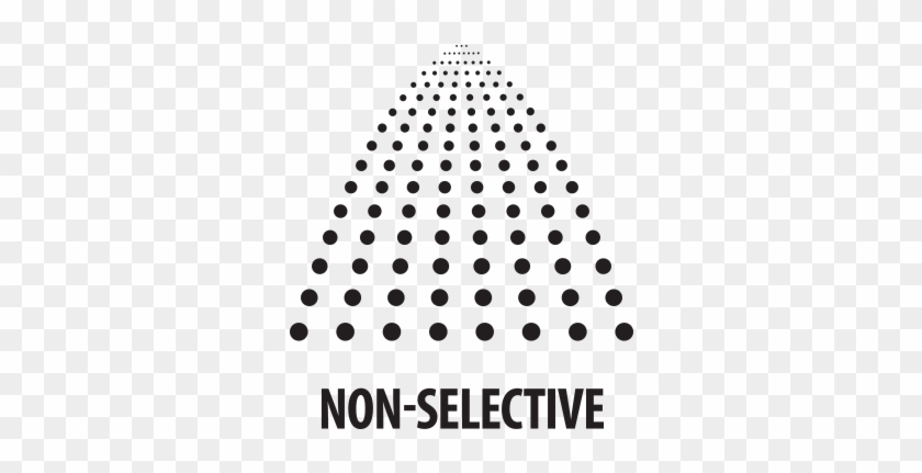 Non-selective - Bingöl De Yakalanan Tarihi Eserler Clipart