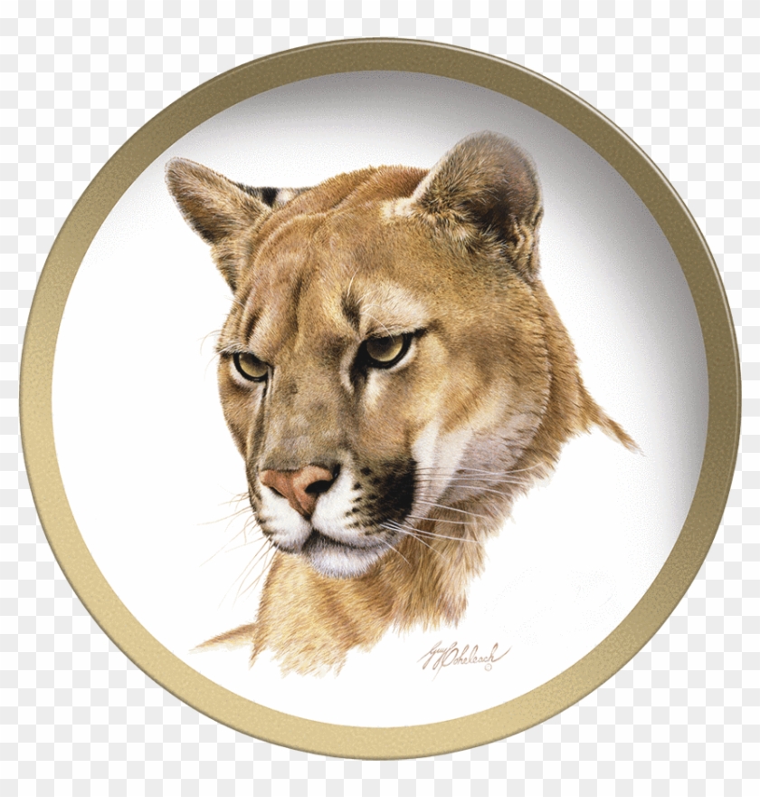 Guy Coheleach Clipart