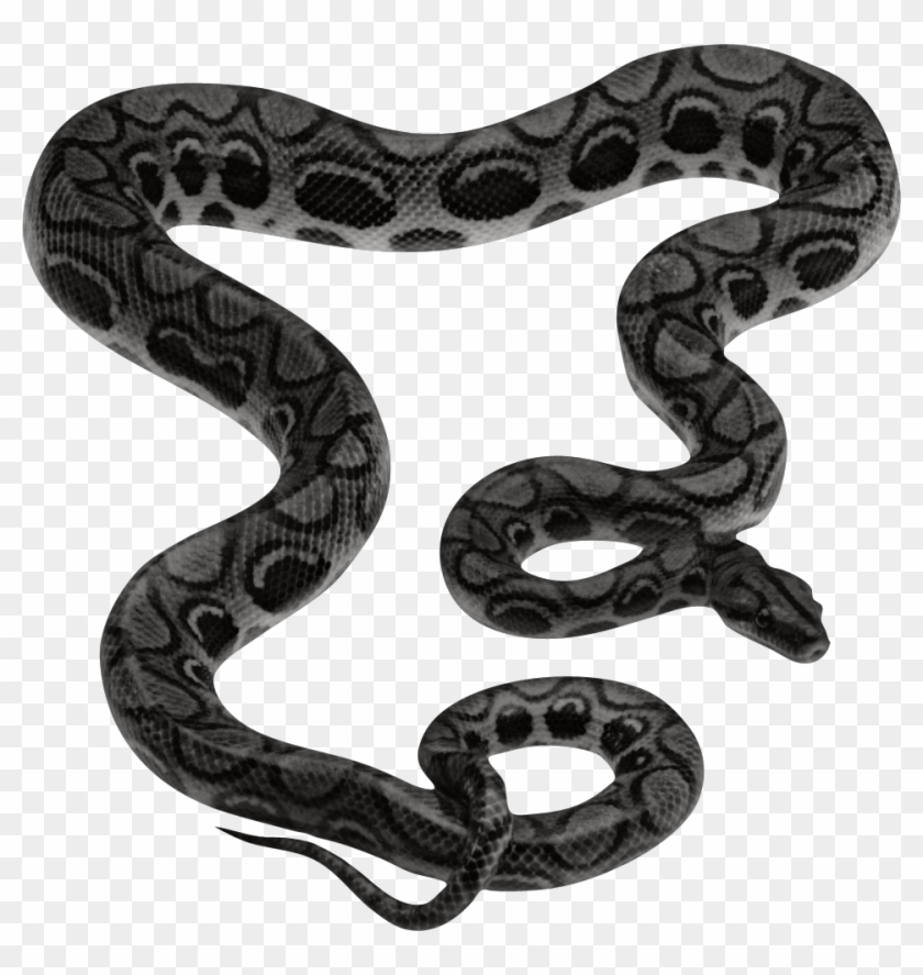 Vijay Mahar Background Download - Vijay Mahar Photo Editing Background Clipart