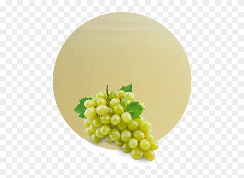 Com/wp Grape Concentrate - Seedless Fruit Clipart