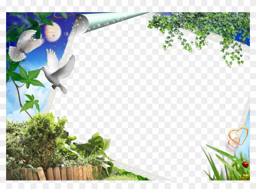 Png Frames For Photoscape Clipart