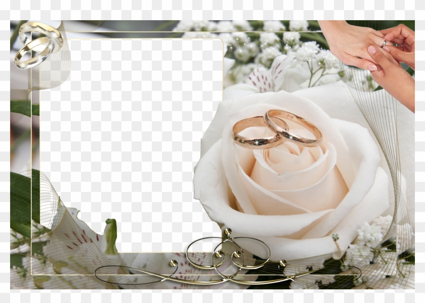 Frames Png - Wedding Rings On Flowers Clipart