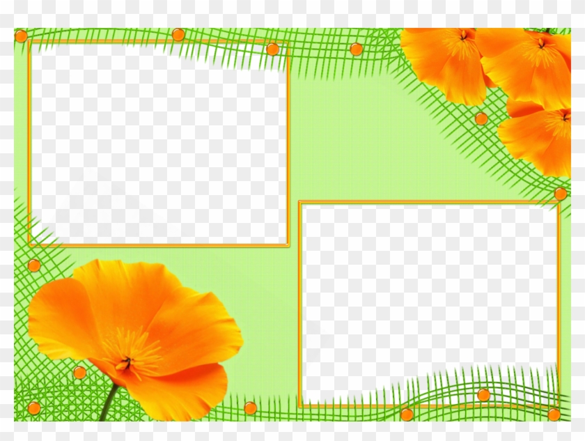 Eschscholzia Californica Clipart #2087897