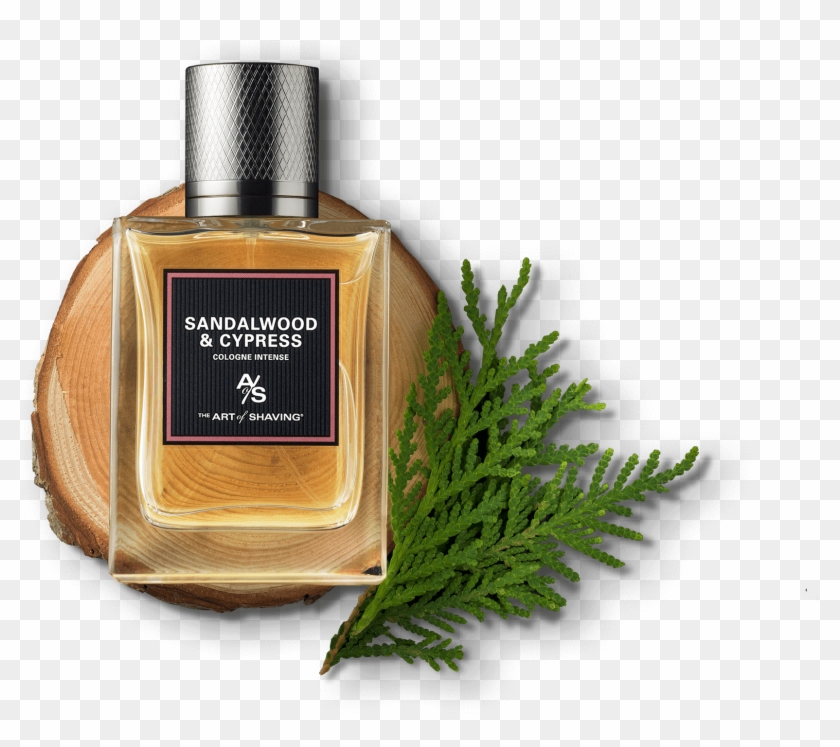Sandalwood Cypress Visual - Perfume Clipart