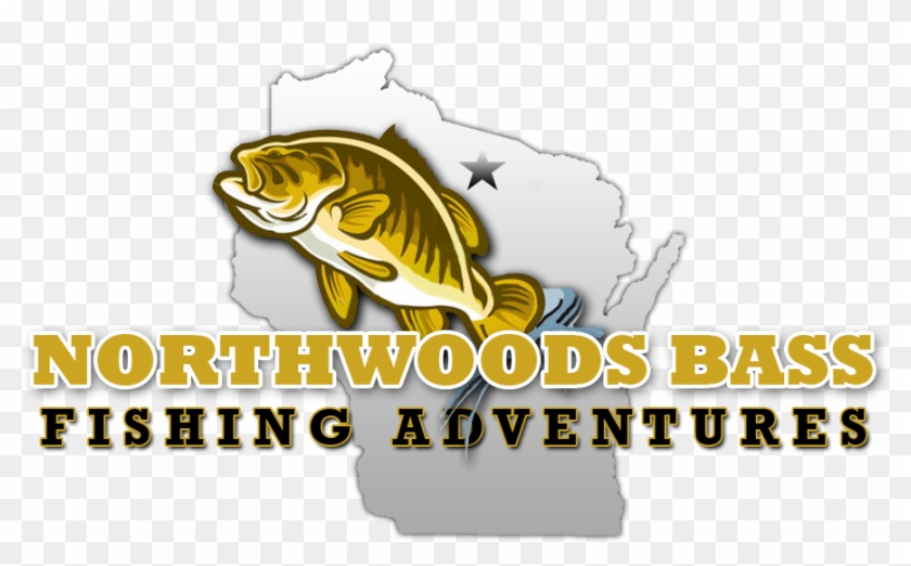 Logo Design - Catfish Clipart #2088848