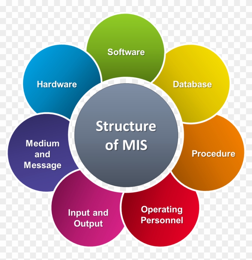 Mis Image For Wiki - Structure Of Management Information System Clipart #2090086