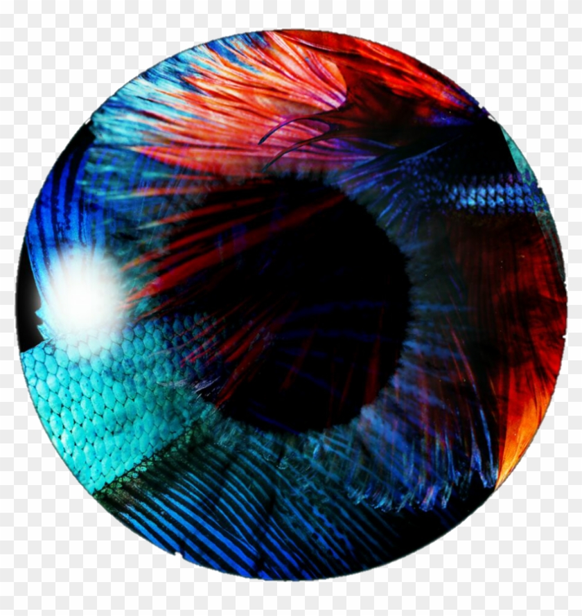 Eye Lens Png - Eyes Picsart Clipart