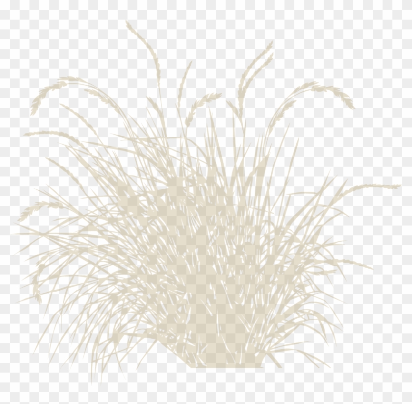 4 Revegetation Plan Example - Vector Clipart