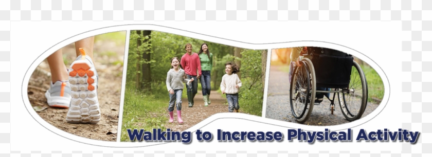 The National Physical Activity Plan Alliance Is Pleased - Family Clipart