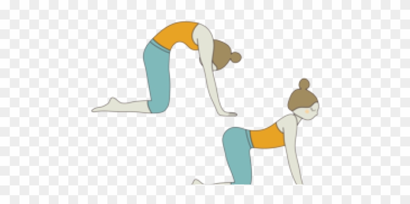 Yoga Clipart Cow - Cat Cow Pose - Png Download #2094149