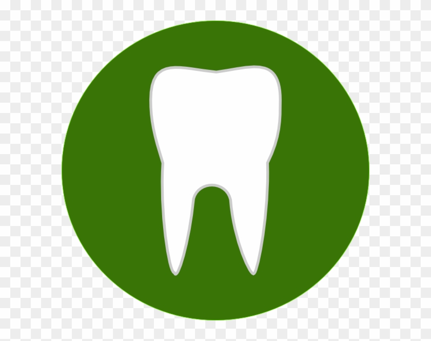Dental Tooth At Vector Png Image Clipart - Green Location Icon Png Transparent Png