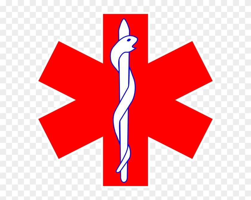 Doctor Symbol Clipart Cross - Paramedic Cross - Png Download #2096270
