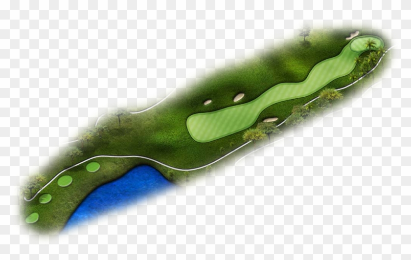 On Your Second Shot Be Mindful Of The Palms Trees Surrounding - Illustration Clipart #2096300