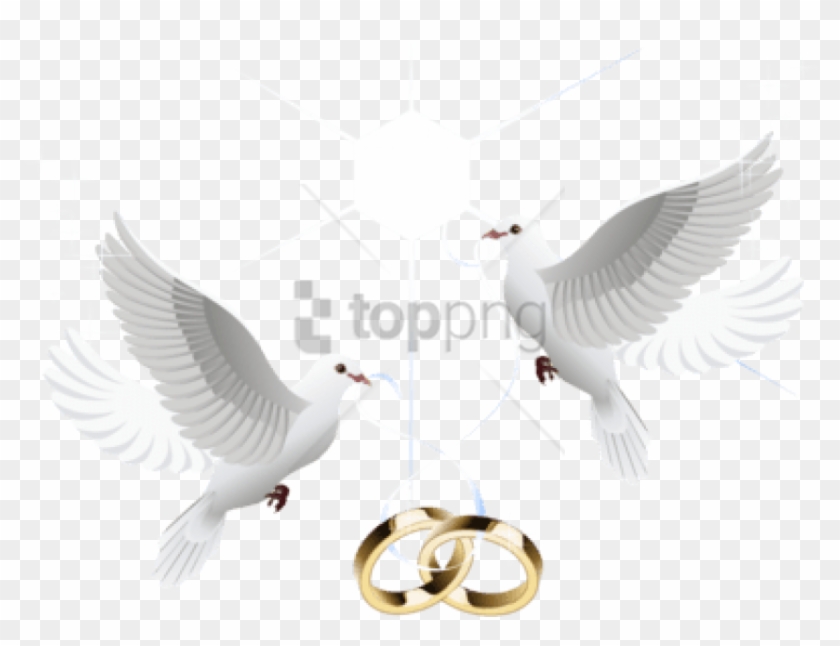 Free Png Wedding Doves With Rings Png Image With Transparent - Wedding Dove Png Transparent Background Clipart #2096303