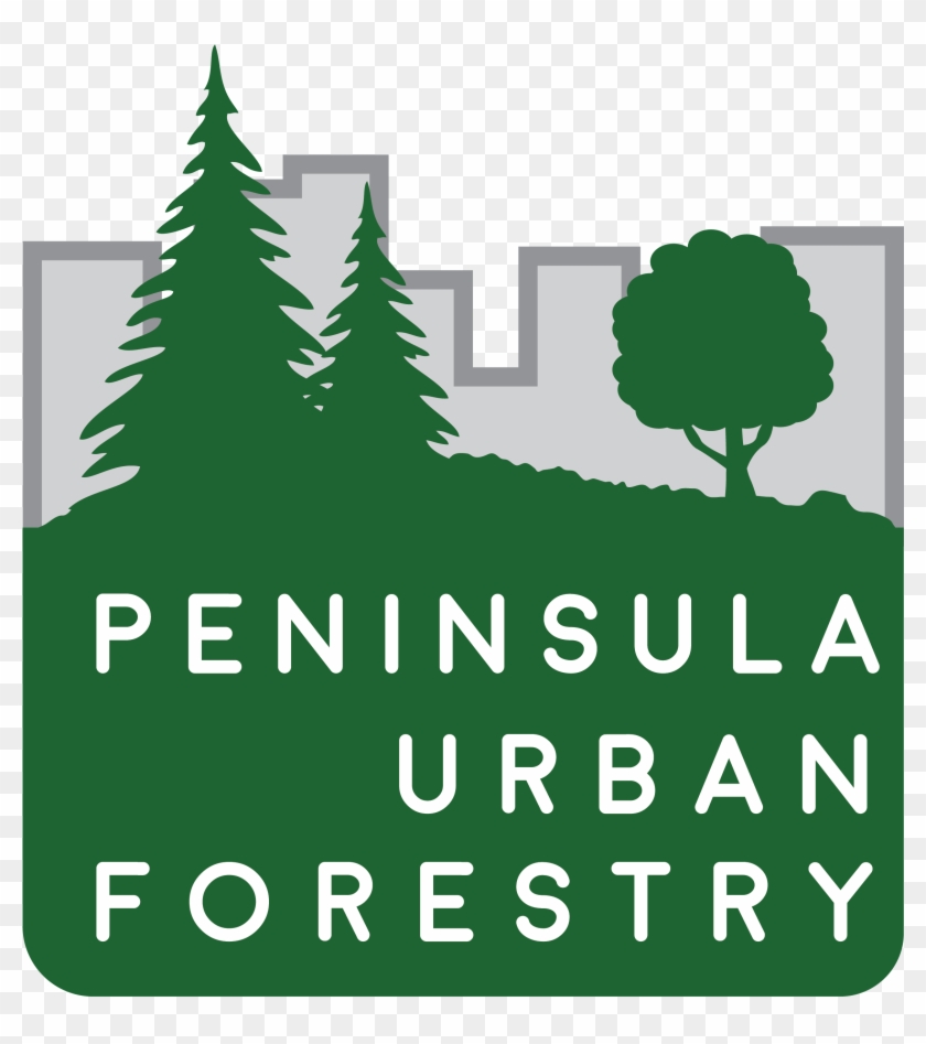 Christmas Tree Clipart