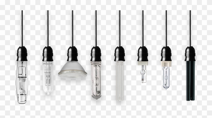 Low Prices - Micro Lamp Clipart