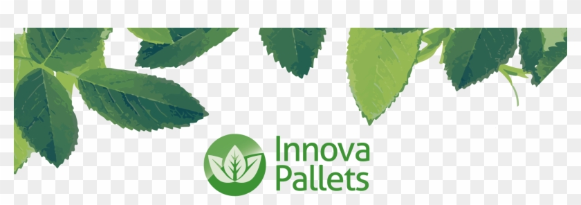 Fondo - Slippery Elm Clipart