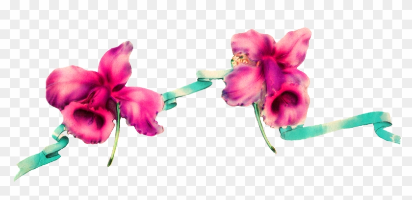 Digital Flower Border Design Clipart