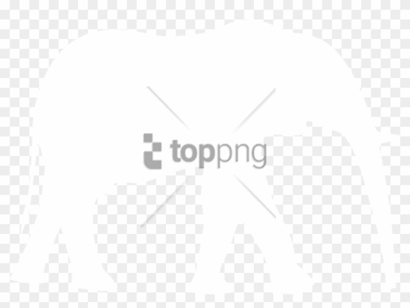 Free Png Download Elephant White Png Images Background - Elephant White Png Clipart