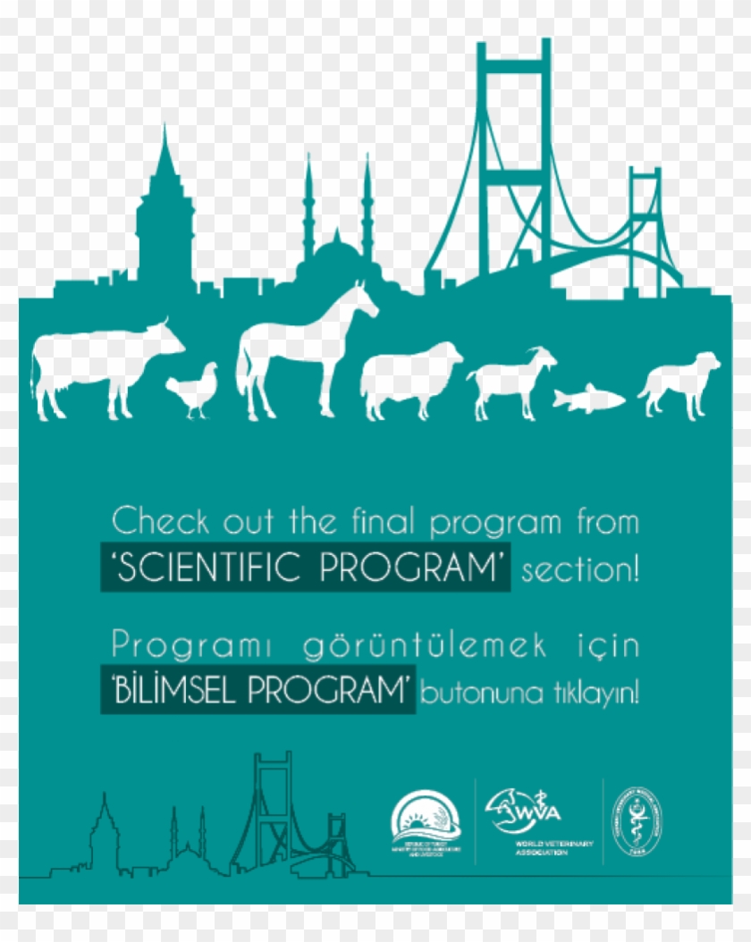 News - Veterinary Congress Clipart