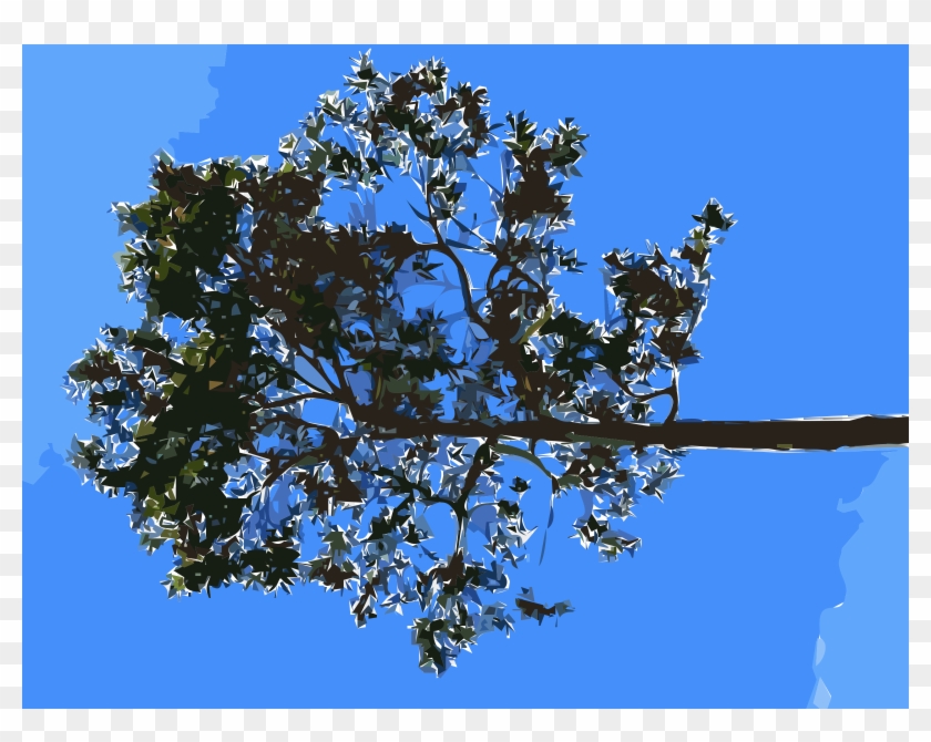 This Free Icons Png Design Of Hong Kong Repulse Bay - Blossom Clipart